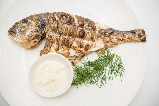 Grilled organic dorada fish white dish. Top view