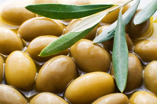 Green Olive fruits overhead close up shoot