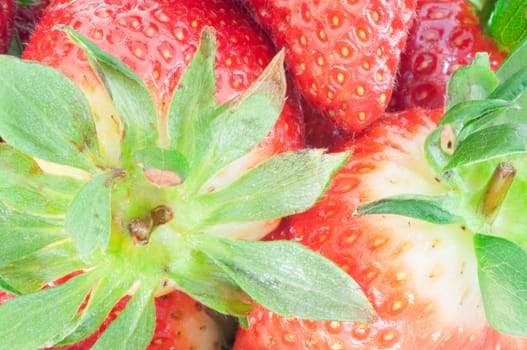 beautiful macro of raw red strawberry on studio