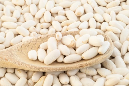 beautiful macro background of cannellini beans in studio