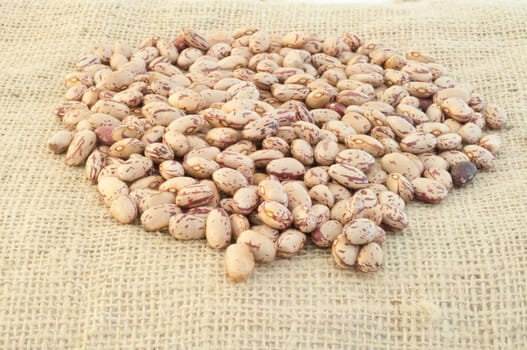 beautiful macro of colored pinto beans