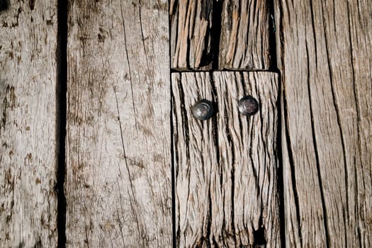 close up of wood texture use as natural background