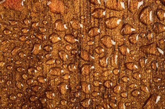Water drops on wood texture background