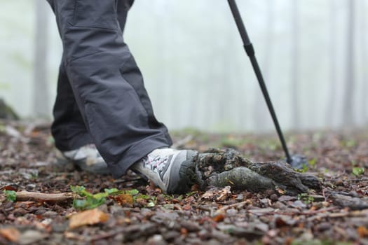Trekker spraining ankle walking in a forest