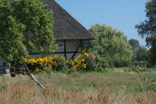 Houses on the Fischland-Darß with a thatched roof