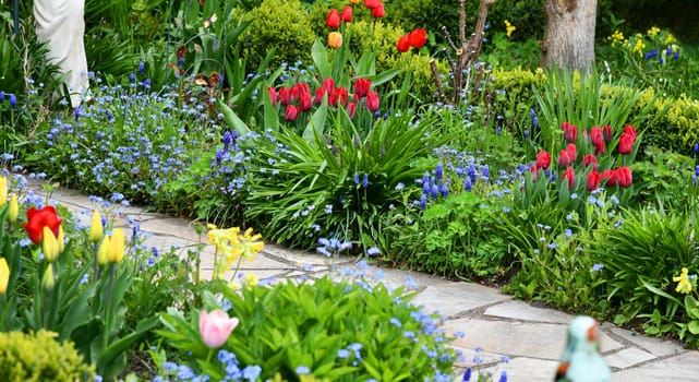 colorful flower garden