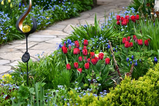 colorful flower garden