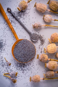 Bunch of poppy heads and bowl with seeds on kitchen table.