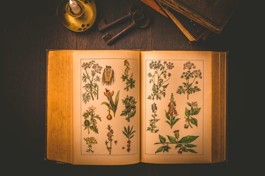 Old antique book with pictures of healing and poisonous plant with candle in vintage style on black background
