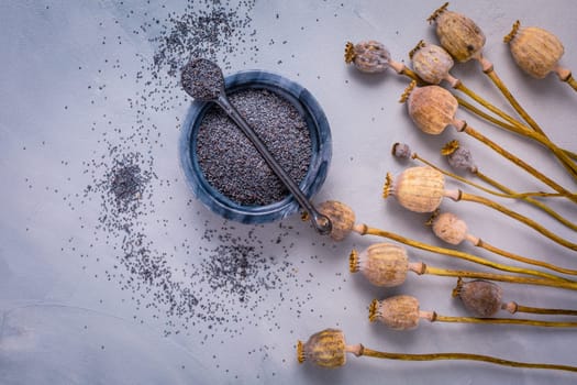 Bunch of poppy heads and bowl with seeds on kitchen table.