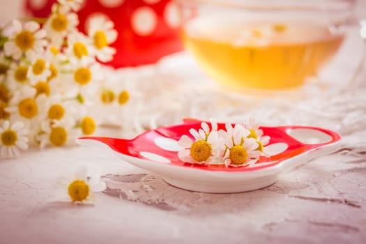 Chamomile herbal tea (Matricaria chamomilla) on kitchen table