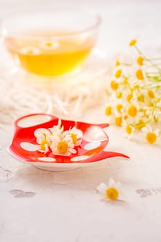 Chamomile herbal tea (Matricaria chamomilla) on kitchen table