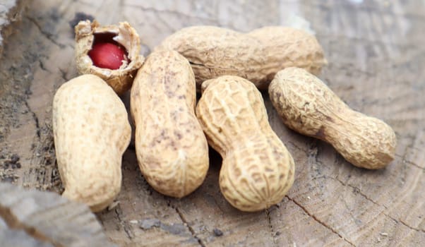 Unpeeled whole raw peanuts in brown husks in the shell texture on a beautiful natural background in the forest lies in a heap on a tree, outdoors on a sunny summer day