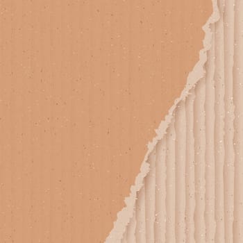 Corrugated cardboard background with torn peace, realistic vector illustration