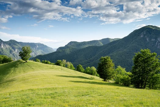 majestic beautiful mountain landscape scenery with lonely tree on hill covered with green grass and blue sky with clouds above in Valea Cernei Romania