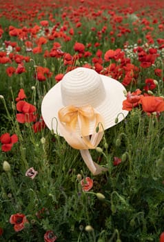 vertical closeup perspective view of woman wicker hat with light colored scarf in field with red poppy flowers