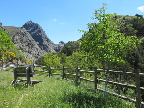 beautiful natural landscape vegetation animals mountains sky