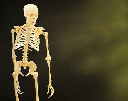 The gold Human skeleton on black background.