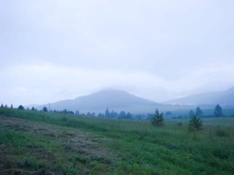 Small Bor tract, Hakkasia. Forests and meadows Khakassia