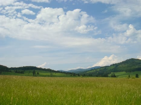 Small Bor tract, Hakkasia. Forests and meadows Khakassia