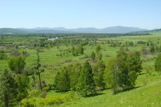 Small Bor tract, Hakkasia. Forests and meadows Khakassia