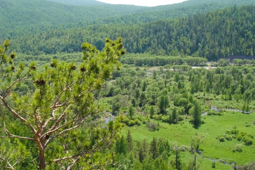 Small Bor tract, Hakkasia. Forests and meadows Khakassia