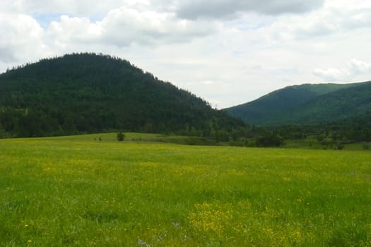Small Bor tract, Hakkasia. Forests and meadows Khakassia