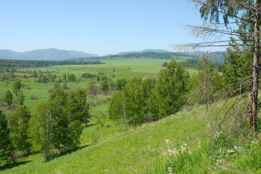 Small Bor tract, Hakkasia. Forests and meadows Khakassia