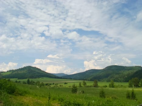 Small Bor tract, Hakkasia. Forests and meadows Khakassia