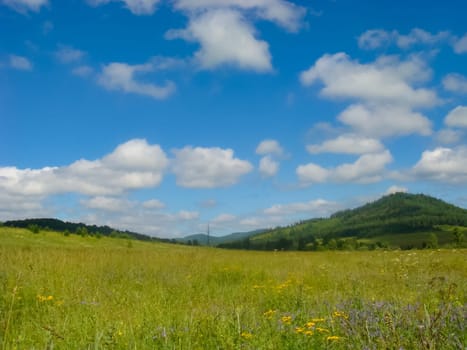 Small Bor tract, Hakkasia. Forests and meadows Khakassia