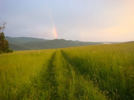 Small Bor tract, Hakkasia. Forests and meadows Khakassia