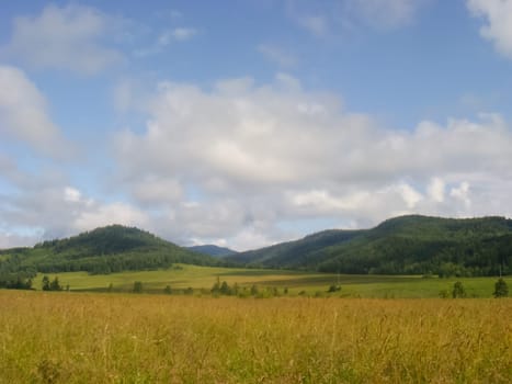 Small Bor tract, Hakkasia. Forests and meadows Khakassia