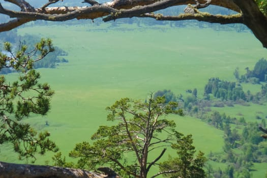 Small Bor tract, Hakkasia. Forests and meadows Khakassia