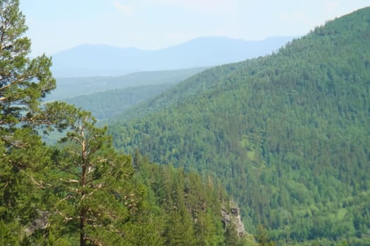 Small Bor tract, Hakkasia. Forests and meadows Khakassia