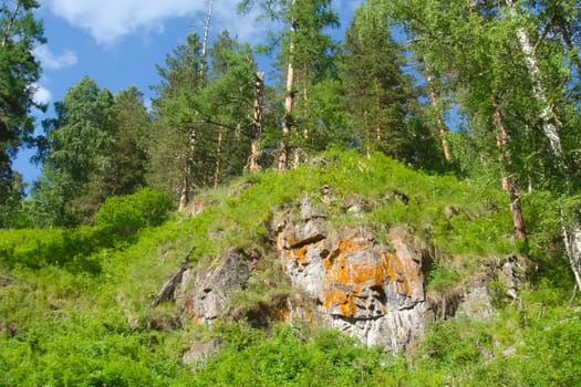 Small Bor tract, Hakkasia. Forests and meadows Khakassia