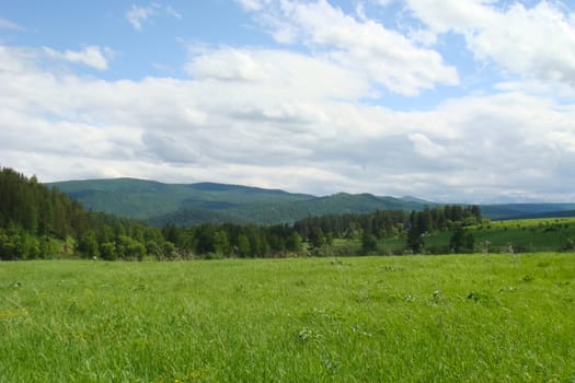 Small Bor tract, Hakkasia. Forests and meadows Khakassia