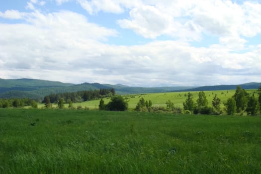 Small Bor tract, Hakkasia. Forests and meadows Khakassia