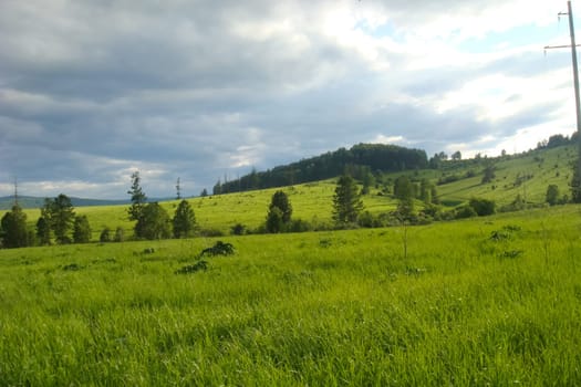 Small Bor tract, Hakkasia. Forests and meadows Khakassia