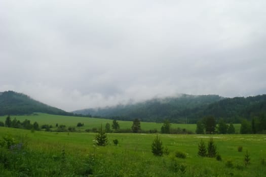 Small Bor tract, Hakkasia. Forests and meadows Khakassia