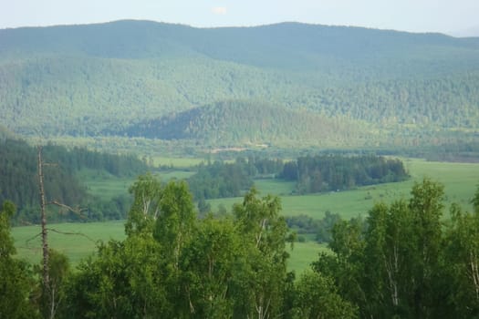 Small Bor tract, Hakkasia. Forests and meadows Khakassia