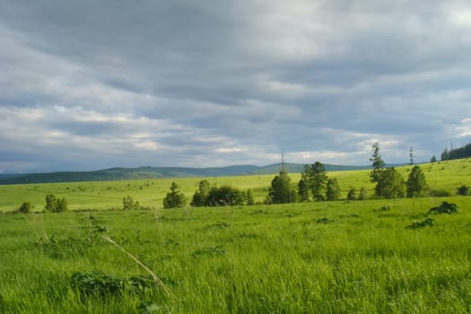 Small Bor tract, Hakkasia. Forests and meadows Khakassia