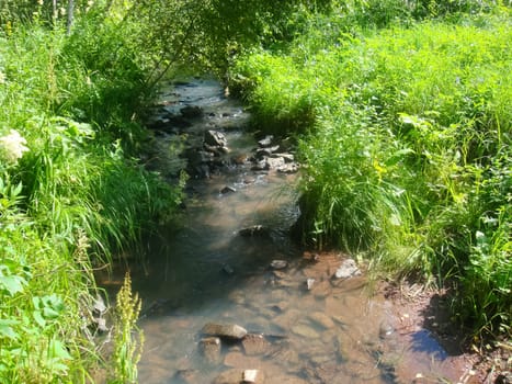 Small Bor tract, Hakkasia. A small river in the forest of the tract is a small boron in Hakkasia. Forests and meadows Khakassia