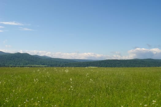 Small Bor tract, Hakkasia. Forests and meadows Khakassia