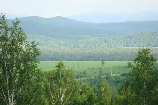 Small Bor tract, Hakkasia. Forests and meadows Khakassia
