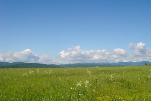 Small Bor tract, Hakkasia. Forests and meadows Khakassia