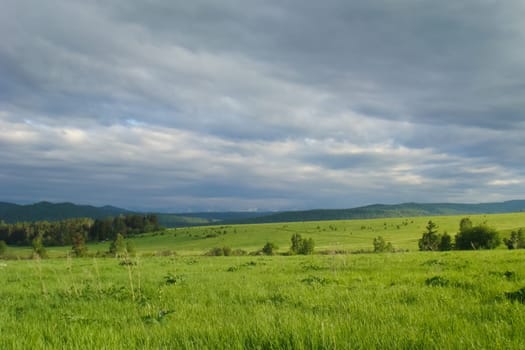 Small Bor tract, Hakkasia. Forests and meadows Khakassia