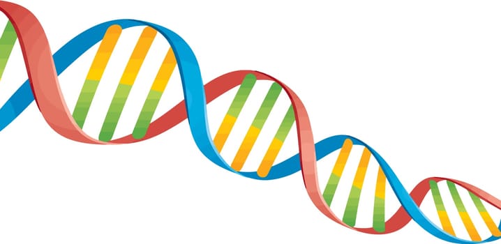 dna gene biology life illustration
