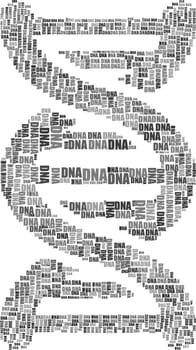 dna gene biology life illustration