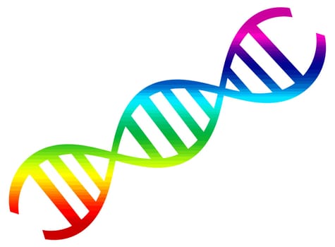 dna gene biology life illustration