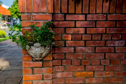 Wall brick and green bush over the ground concrete in the park with the hard sunlight.